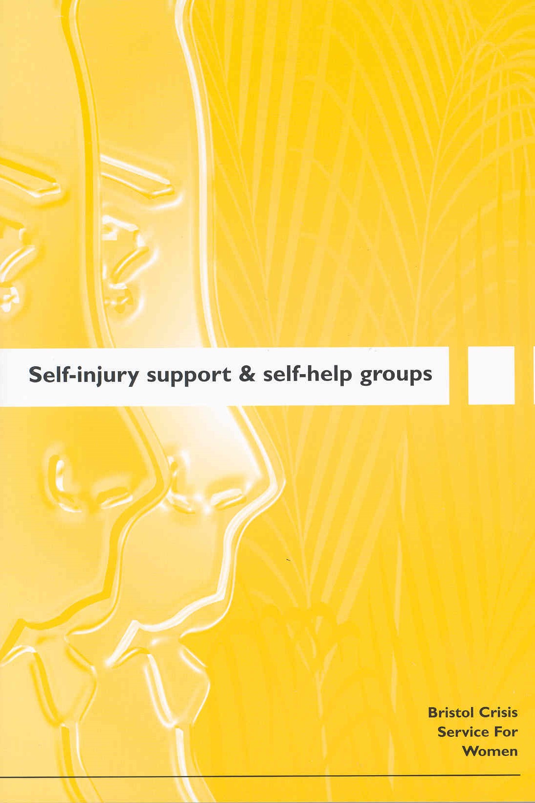 Self Injury Support and Self Help Groups  (1996)